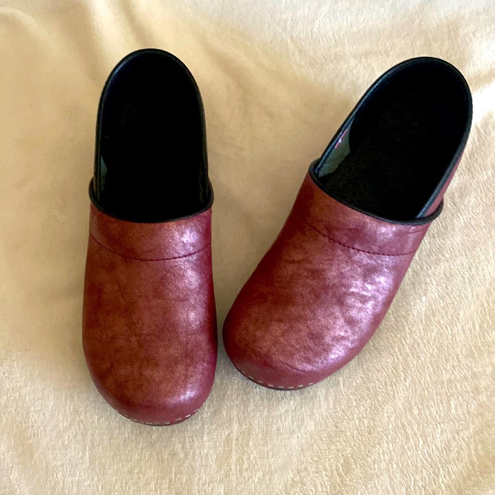 Beautiful Sanita clogs!!!